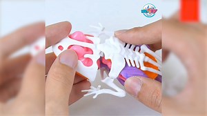 🧪🔍 Explore & discover! Take a closer look inside with this cool dissection toy! 🦴✨ 4901824 Animal Dissection Toy - RM13.90 *Price may vary in East Malaysia. #MRTOY #AlwaysFun #Animal #Dissection | MR TOY