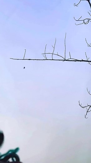 Unpacking The History of Outdoor Sports