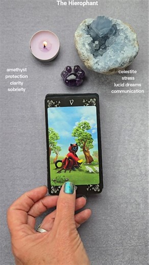 Cat Tarot card of the day #zencattarot #cattarot #tarotcardoftheday #thehierophant