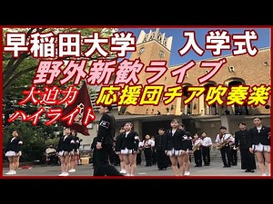 早稲田大学応援部🌸「野外新歓ライブ」ハイライト集【2023 4 1入学式10号館前1700～1730】#早稲田大学応援団#早稲田大学チアリーダーズ#早稲田大学吹奏楽部