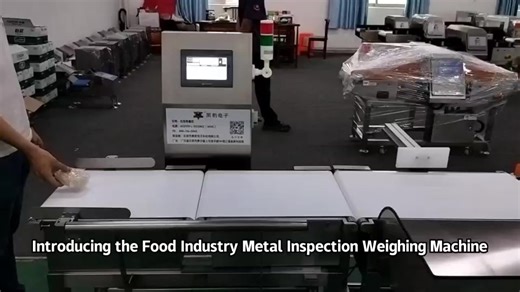Intelligent Digital Checkweigher with Touch Screen for Industrial Weight Measurement and Customization