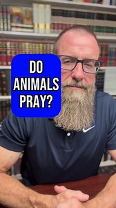 Do Animals Pray? The Mystery of Psalm 104 | Chad Bird