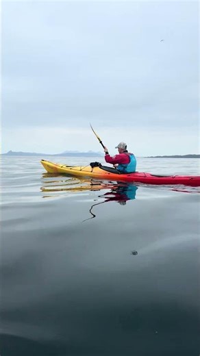 Paddling Arisaig Scotland #shorts