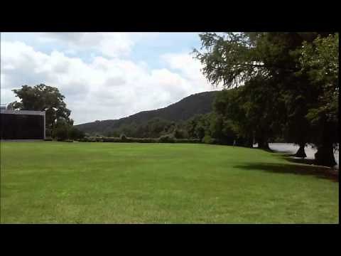 Left Behind: Nicolae