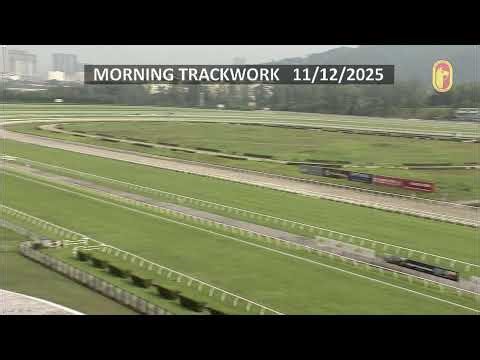 Track Work - Cam 1 (11/12/2025)