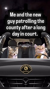Laramie County Sheriff's Office on Reels