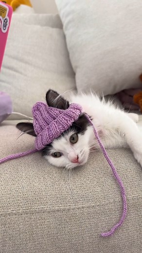 Cuteness overload 🥹 Knit pattern from Etsy shop FridayKnitsDesigns https://etsy.me/42ZTHlz | Etsy