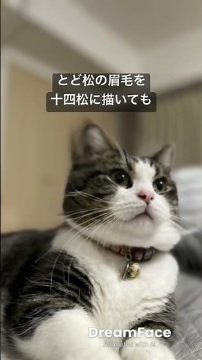 #おそ松くん音頭 #細川たかし #cat #猫のいる暮らし #歌 #歌詞有 #昭和歌謡 #catvideos