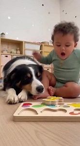 Dog Solves the Secret of the Puzzle 🧩 | Alaline