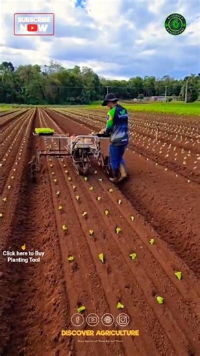 Vegetable Planting Machine