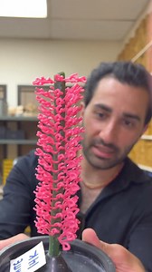 MELTING DOWN A GOLD CHAIN- DO YOU LOSE GOLD ! #THE BEST AFFORDABLE GOLD CHAIN LINKS!! #Making A 40 CT DIAMOND Tennis Chain- Lab vs Natural ! #HOW TO MAKE A GOLD CHAIN- START TO FINISH #ONE KILO GOLD BAR VS. ONE KILO GOLD CUBAN #MrBeast ROLEX REALLY WORTH #relax #boxing #beauty #usa #losangeles #california #NYC #instagram #OMG #love #goals #goldenretriever #natures | Goldforyou