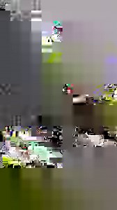 1.3K views · 24 reactions | What's your favorite CDT uniform?! ✨﫶 | Cavs Dance Team | Facebook