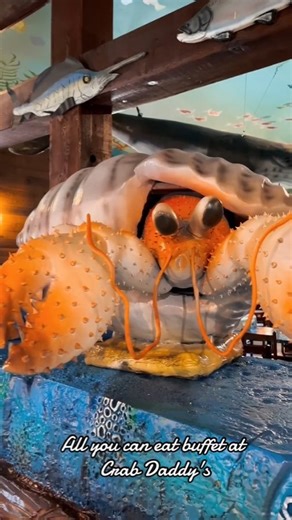 Visit Crab Daddy's Seafood Buffet for the best under water experience in Myrtle Beach 🦞🦐🦀 | Crab Daddy's Seafood Buffet Restaurant