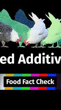 What goes into animal feed? Are feed additives safe for animals, farmers and for you?