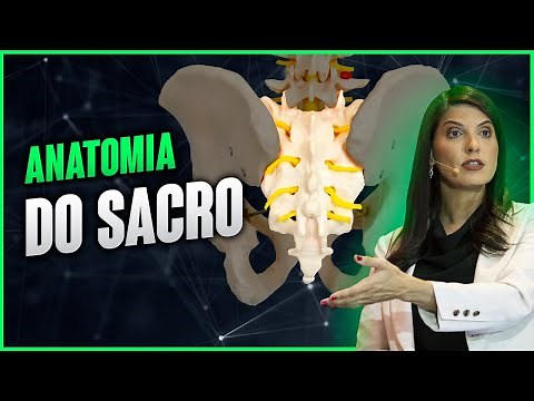 ANATOMIA DO SACRO por Dra Walkyria Fernandes