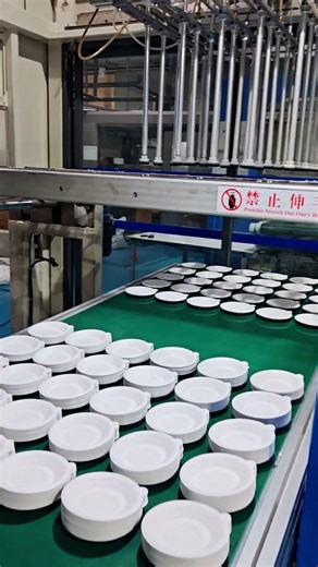 How Cornstarch Plates Are Made 🌱 | Factory Production