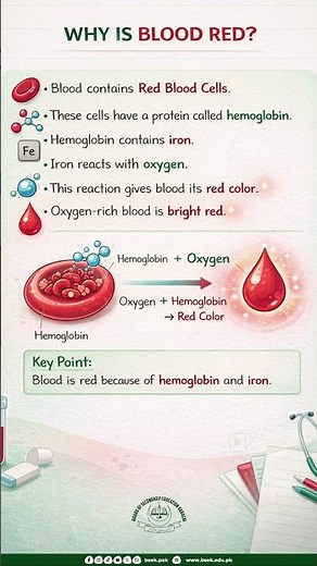 Why Is Blood Red? 🩸 Simple Science Explained in 30 Seconds