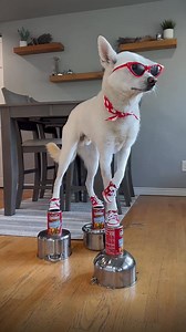 😂 | Bright Wire Zambia