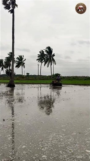 Transform Tractor VST Shakthi Mini Wheels in Paddy Field Amazing!