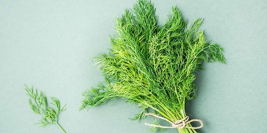 How to Freeze Dill So It Stays Fresh Longer