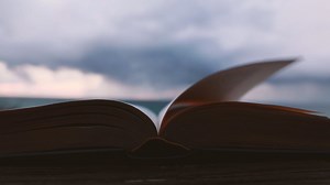 Livre En Train De Lire Littérature - Free video on Pixabay