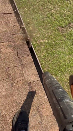 Gutter Cleaning