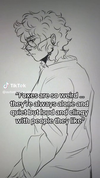 Adorable Foxes: A Fascinating Look into Their Behavior