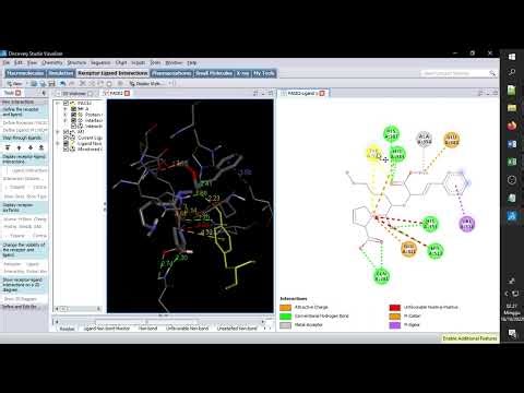 8 Visualisasi Hasil Docking Menggunakan Discovesy Studio