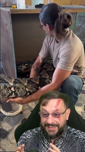 Giant python #biologohenrique #animals #smartanimal #biologist