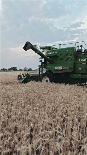 Kular 995 Harvester 🥰😍#farming