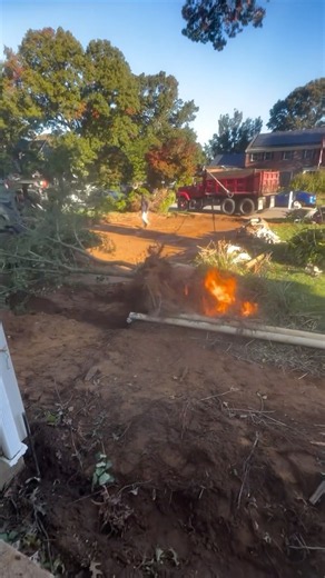 😱🔥 THEY PULLED OUT A TREE… BUT WHY WAS THERE FIRE UNDER THE ROOTS?! 🌳🤯 #tractor #farming #agri