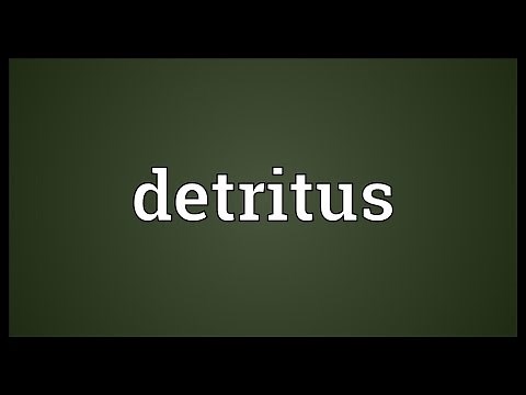 Detritus Meaning