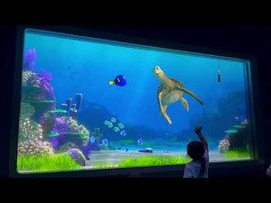 Turtle Talk with Crush at EPCOT (FULL SHOW)