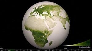 Un mapamundi interactivo muestra la vegetación de nuestro planeta