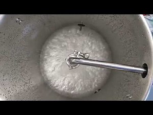 CIP Riptide Pump with Stock Spray Ball