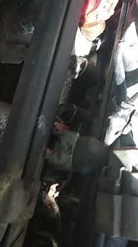 Nissan Hardbody D21 Sensors and Fuel Injector clip remove.