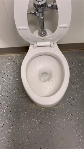 2000s Crane Plumbing Whirlton toilet (rushed shoot)