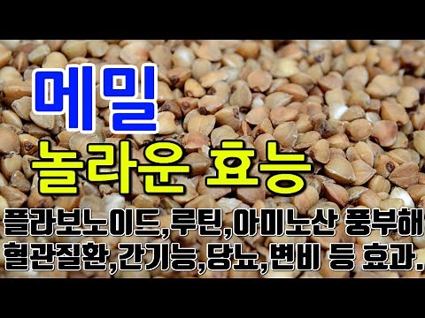 [Buckwheat Benefits] "The Special Appeal of Buckwheat: The Secret to Blood Sugar Control and Impr...