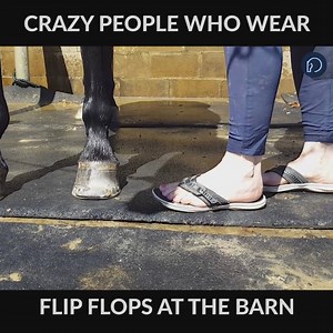 489K views · 3K reactions | Toes? Who needs toes? | Horse Network | Facebook
