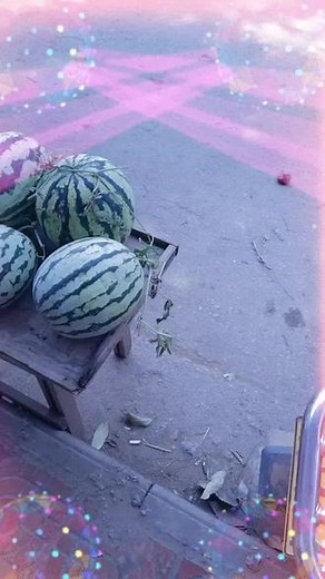 dylxz9rslzf0在抖音记录美好生活20240411