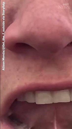 Two massive bears fight as hikers in Alaska watch #shorts