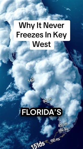 Why It Never Freezes In Key West Florida History Florida Ghost Towns Forgotten Florida Hidden Florida Historic Florida Florida Fossils Florida Exploration #ForgottenFlorida #FloridaHistory #LostFlorida #FloridaWeather #KeyWest