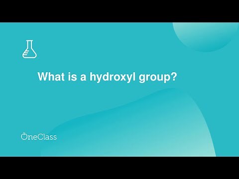 What is a hydroxyl group?