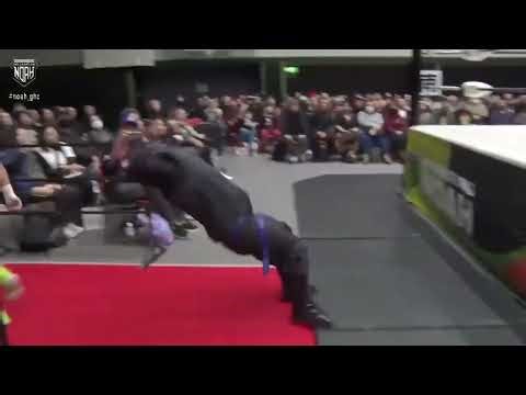 Wrestling Advent Calendar: Ninja Mack chases after a fleeing Hiromu with multiple backflips