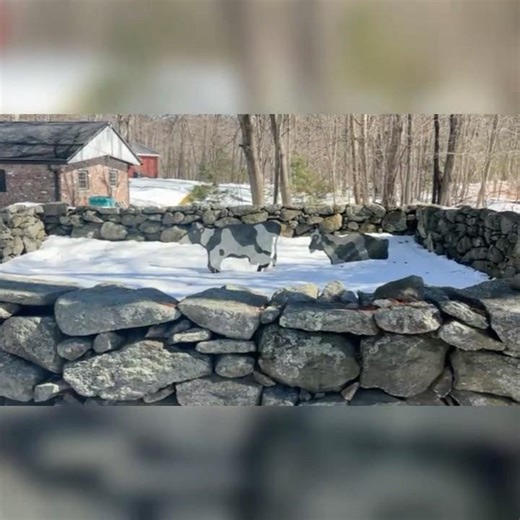 Must-see ✨Town Pound 19th Century, Amazing #wow #incredible #epic #history #livestock