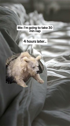 Me: I’m just gonna take a 30-minute nap 😌 #meme #memes #relatable #momlife #naptime
