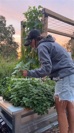 Everyone’s cleaning up their beds and calling it quits… Meanwhile, I’m planting and dreaming ahead. Fall is when a true flower gardener gets strategic. October isn’t the end of the season — it’s the beginning of next year’s bloom. Here’s what I’m doing right now to set my spring flowers up for success: 1️⃣ Mapping out next year’s beds — making sure I’m rotating varieties to keep the soil balanced. 2️⃣ Prepping the ground with compost and mulch so it’s rich and ready for spring planting. 3️⃣ Plan