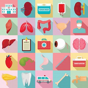 Organ donation ethics and culture - Donor Research Network