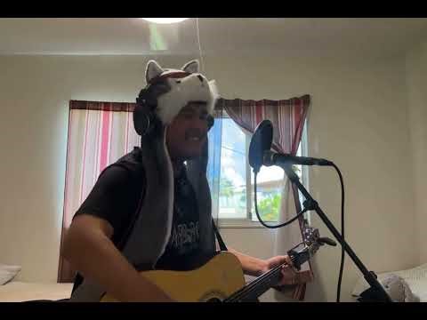 "Dancing in the Moonlight" (Toploader cover)