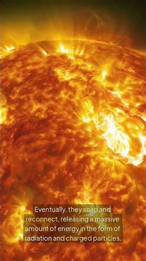 What Causes a Solar Flare?
